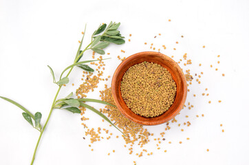 the green greek plant with greek grain in the wooden bowl isolated on white background.