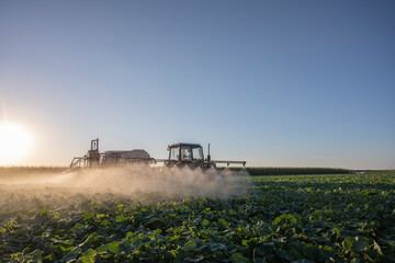 Naklejka premium Tractor spraying pesticides on vegetable field with sprayer