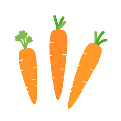 Set of carrot icons isolated on white background vector.