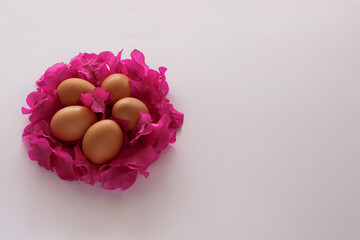 Eggs in a flower nest. On a white background with a space for text.