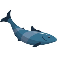 Shark vector, ocean fish illustration isolated on white