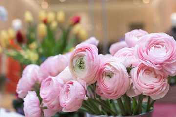A bouquet of ranunculus flowers is gently pink in a floral salon.
