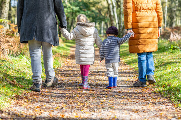 Rear view of a family walking holding hands in the wood - Mother and father with daughter and son walking together on a path on a sunny day - Family and lifestyle concepts