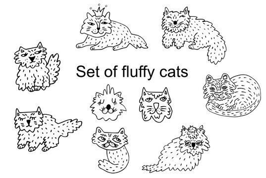 Set cute fluffy cats for kids. Pussy muzzles. Cartoon pets are standing, sitting. Doodle picture with funny big-eyed animals. Black line art. Vector illustration for designs of baby icons and pattern