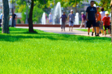 city park on a summer day, green lawns with grass and trees, paths and benches, people walking and...