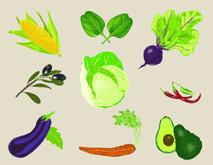 vegetables set isolated on cream background
