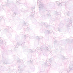 seamless pattern of translucent magnolia petals