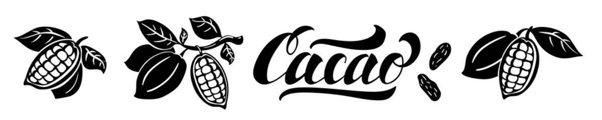 Cocoa beans and lettering vector illustration. Cocoa beans on a branch with leaves isolated on white background