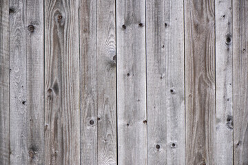Fototapeta premium Holzbrett als Hintergrund