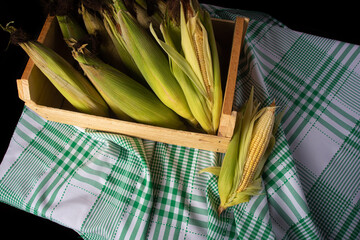 Festa Junina in Brazil, Green corn in a wooden box on a table, top view.
