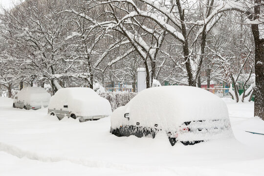 Cityscape: Cars are under snowfall on  urban street