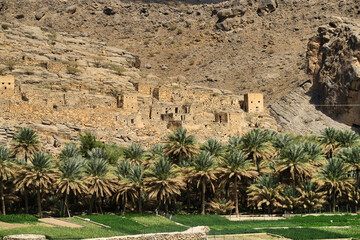 A stone wall hidden desert  town and date palm green trees 