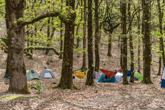 Camping in forest - Ain Draham - Tunisia 