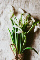 Spring flowers background. A bouquet of snowdrops on a gray linen fabric. Top view.