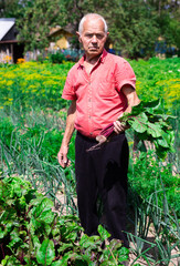 man farmer unhappy with the beet harvest in the village