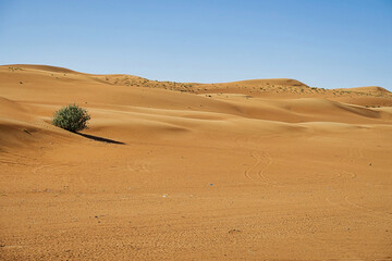 Fototapeta na wymiar Sand dune desolated desert landscape