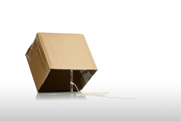 cardboard box with stick as trap - obrazy, fototapety, plakaty