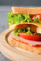 Tasty sandwich on gray background closeup