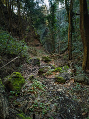 sentiero di montagna