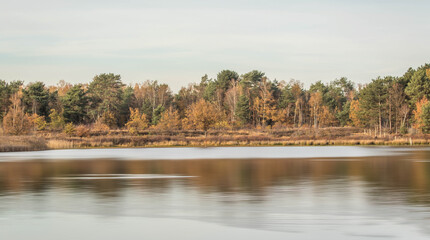 autumn in the forest