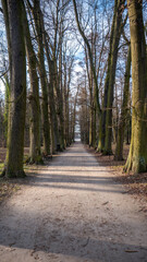 park in spring