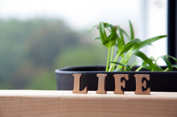 LIFE word written on wooden board by window.