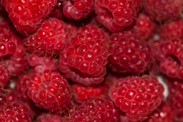 red raspberries. Raspberry background. Fresh big bright appetizing raspberry. View from above. Macro photo of a raspberry. large red juicy raspberry berries for background