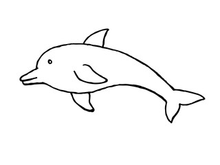 dolphin isolated on white