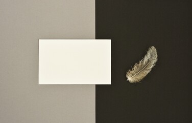 White paper blank mockup on gray and black background with one feather close up.

