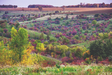 Naklejka na ściany i meble View of colorful hills in autumn. Beautiful nature landscape. Ukraine