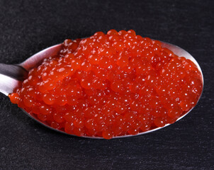 red caviar of chum salmon in a metal spoon on a black background