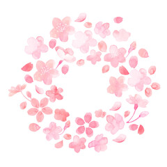 Fototapeta na wymiar 桜の花のイラスト