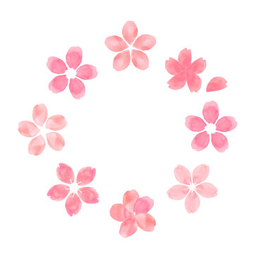 桜の花びらのイラスト