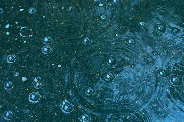 blue background puddle of rain / raindrops, circles on a puddle, bubbles in the water, the weather is autumn