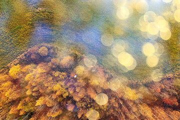 autumn forest landscape, view from a drone, aerial photography viewed from above in October park