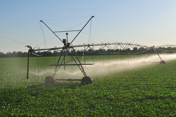 automatic irrigation system in the field