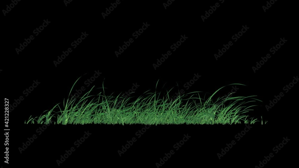 Wall mural grass swaying wind loop with alpha channel. easy to use and change you can place on footage or backg