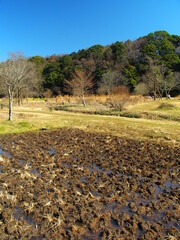 自然公園にある春の田圃と森のある里山風景