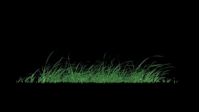 Grass Swaying Wind Loop with Alpha Channel. Easy to use and change you can place on footage or background.
