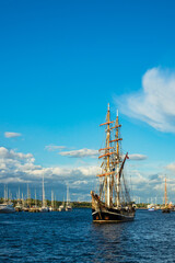 Segelschiffe auf der Hanse Sail in Rostock © Rico Ködder