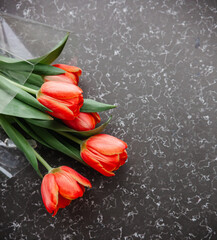 red tulips for girls on a marble background