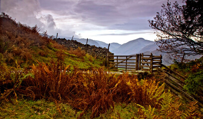 dramatic autumn  landscape image taken in Lake District , Cumbria