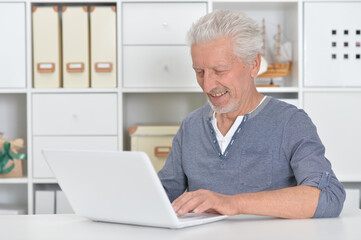 Fototapeta na wymiar senior man using laptop at home
