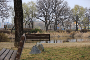 wooden bench in the park