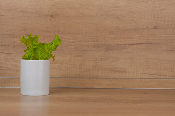 lettuce leaves in a white pot on the table