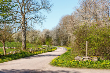 Milestone at a crossroads in the spring landscape