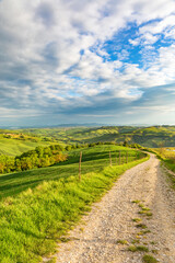 Fototapeta na wymiar Gravel Road in a rural rolling countryside of Tuscany