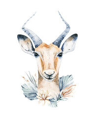 Africa watercolor savanna antelope, animal illustration. African Safari wild life cute exotic animals face portrait character. Isolated on white poster design