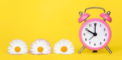 Banner of daisy flowers and clock watch on yellow background. Spring forward, springtime or summer concept.