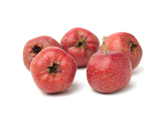 fresh hawthorn on white background.